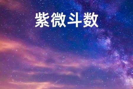 紫薇斗数中的紫微星