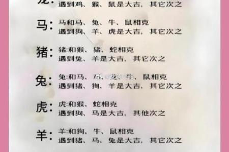 十五生肖：探索属鼠者的个性特征和相性配对