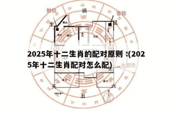 周易中属什么生肖？解析周易生肖配对