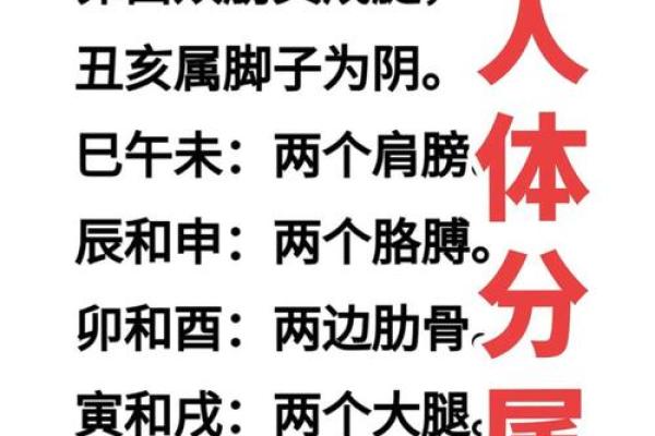 八字算命预测准不准
