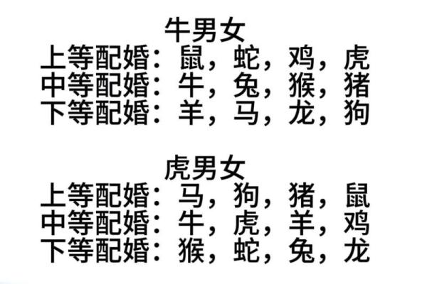 属相配对表