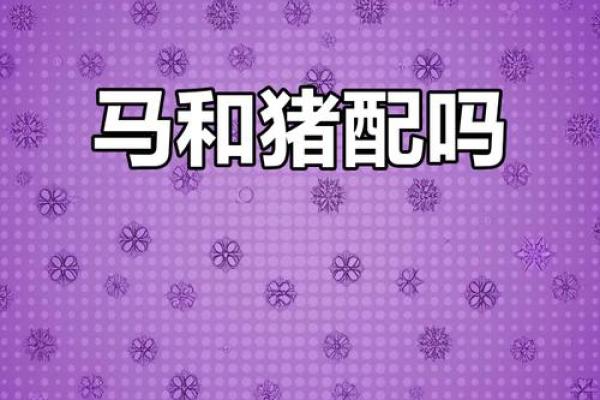 生肖配对：属马的和什么属相最配