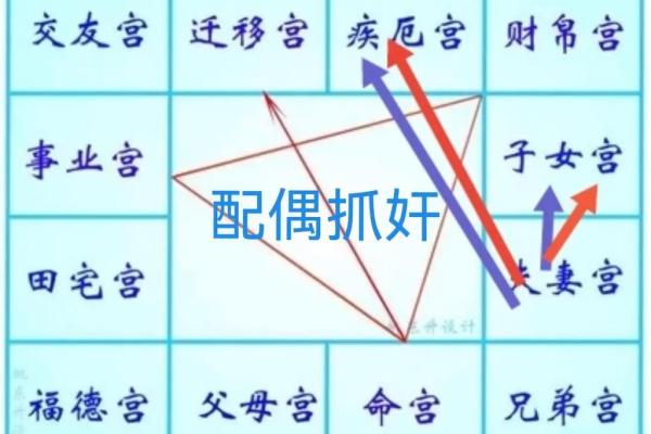 紫薇斗数与数术