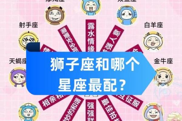 狮子座跟射手座配对好吗男
