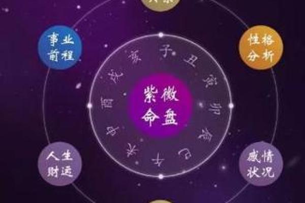 桃桃喜紫薇斗数