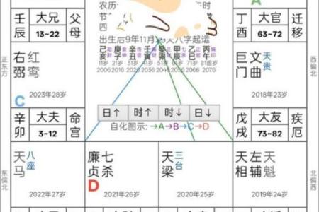 紫薇斗数看每日流盘