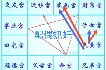 紫薇斗数与数术