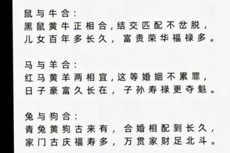 63年属什么生肖配对