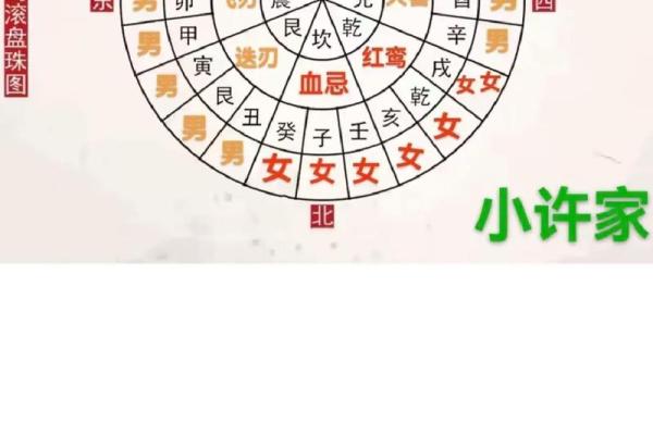 配对盘怎么看,配对盘解读