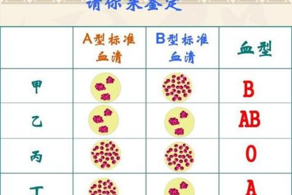 血型研究的发展史是怎样的 血型研究的发展史是怎样的