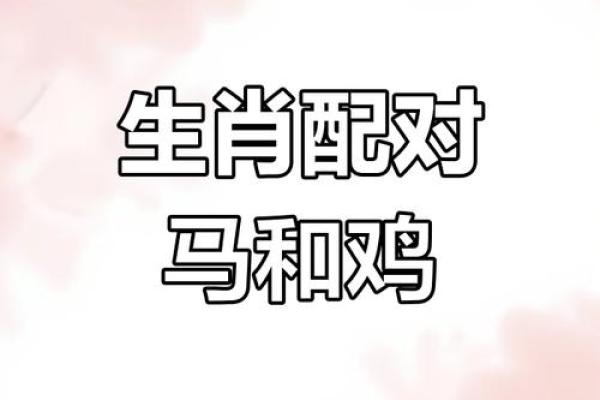 属鸡双子座与属猪处女座配对如何