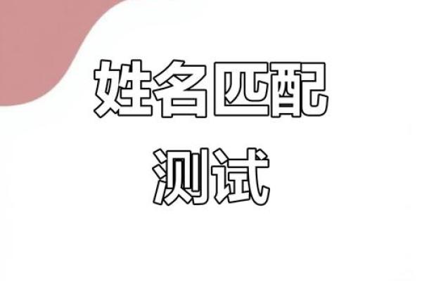 姓名契合度配对怎么进去 姓名契合度文案？
