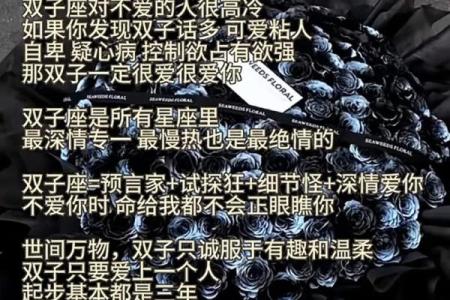 双子处女座配对分析