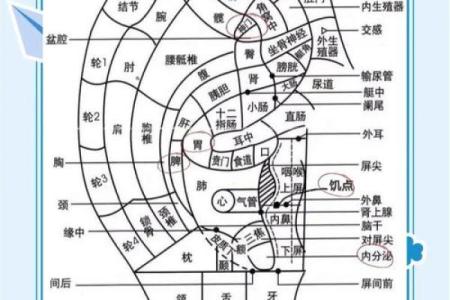 耳疼测试吉凶