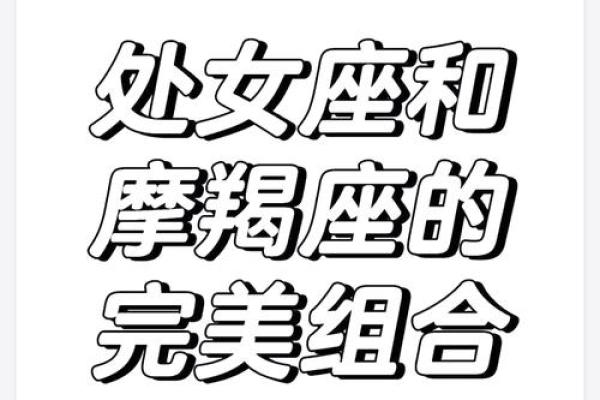摩羯座和处女座配对指数 摩羯座和处女座配对指数高吗