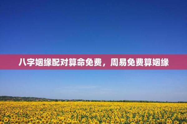 三藏姓名配对查询 三藏姓名配对算命网? 三藏姓名配对查询 三藏姓名配对算命网?