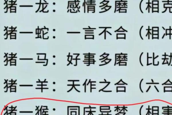 属猴和什么属相最配对 属猴和什么属相相冲 属猴和什么属相最配对 属猴和什么属相相冲
