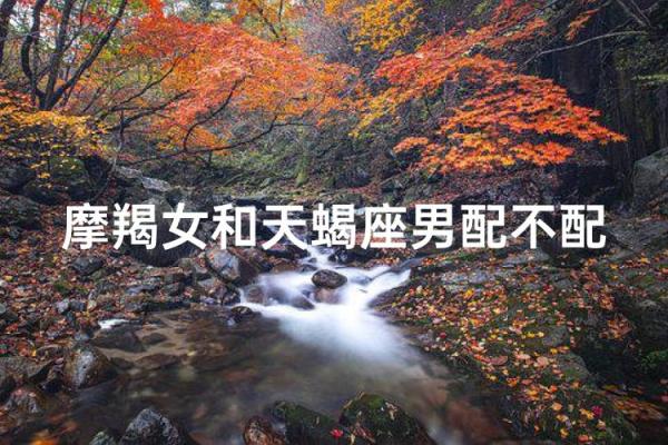 天蝎女和摩羯男配对指数 天蝎女和摩羯男在一起合适吗 天蝎女和摩羯男配对指数 天蝎女和摩羯男在一起合适吗