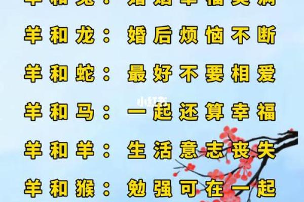 最佳的十二生肖婚姻配对大全 最佳的十二生肖婚姻配对大全
