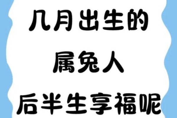 属兔的富豪出生在几月 属兔大富大贵的吉日出生 属兔的富豪出生在几月 属兔大富大贵的吉日出生