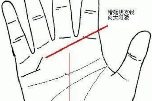 男人左手手相算命图解 婚姻线清晰无曲折象征幸福 男人左手手相算命图解 婚姻线清晰无曲折象征幸福