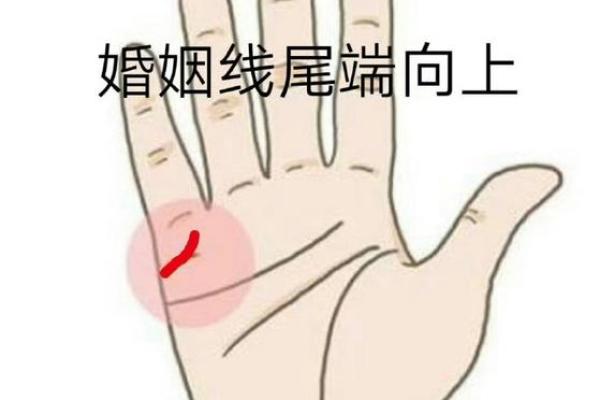 男人左手手相算命图解 婚姻线清晰无曲折象征幸福 男人左手手相算命图解 婚姻线清晰无曲折象征幸福