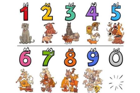 姓名数字配对游戏 姓名对应数字?