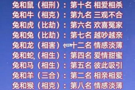 最佳的十二生肖婚姻配对大全