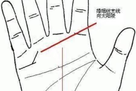 男人左手手相算命图解 婚姻线清晰无曲折象征幸福
