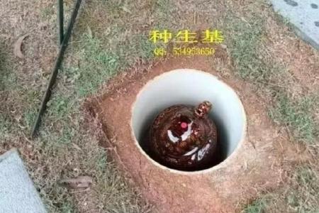 种生基之吉日