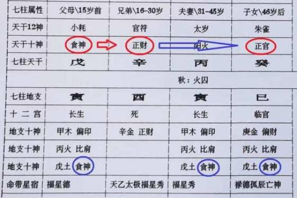 八字时柱的干支都是偏财 八字时柱的干支都是偏财