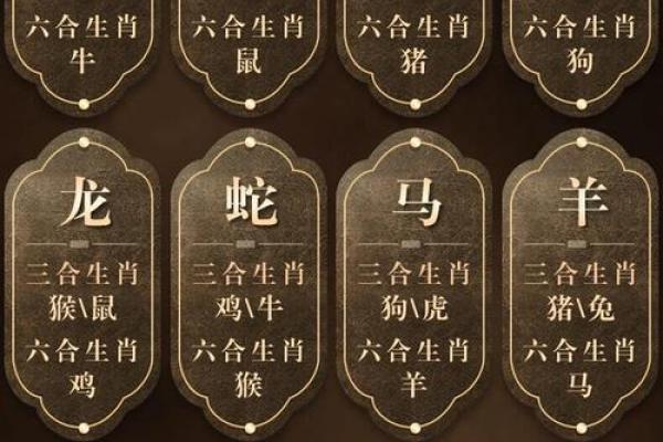 最准的12生肖配对表 最准的12生肖配对表