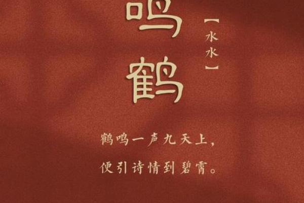 白鹤鸣八字