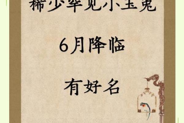 兔宝宝生辰八字 兔宝宝生辰八字