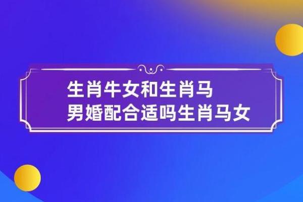 马男生配对姻缘 马男生配对姻缘