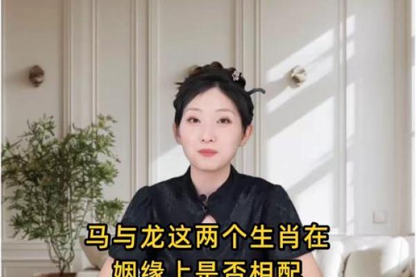 生肖马的姻缘配对,哪些生肖最合适? 生肖马的姻缘配对,哪些生肖最合适?