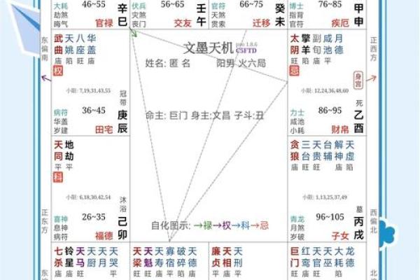 紫薇斗数看何时买车 紫薇斗数看何时买车