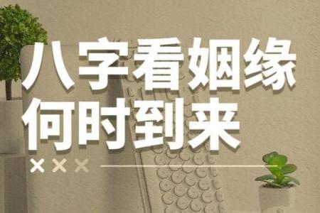 姻缘八字算命