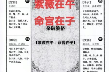 紫薇斗数子斗戌