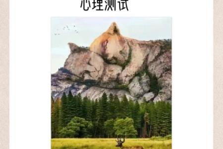 心理测试:选择一个果盘,测测你命中避不开的事情是什么