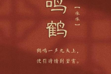 白鹤鸣八字