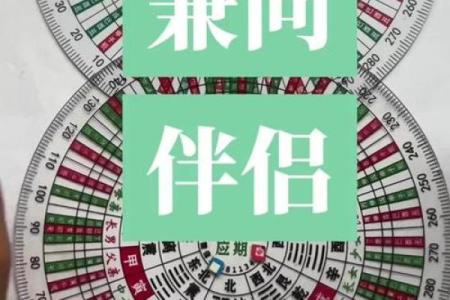 智能风水罗盘基础版风水指南一站式解决方案