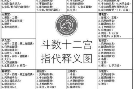紫薇斗数在线详解