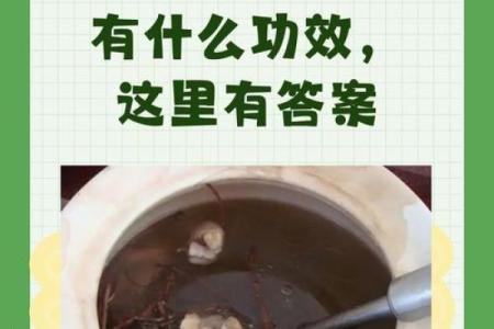 风水解答为什么不应该将艾草作为礼物送给别人