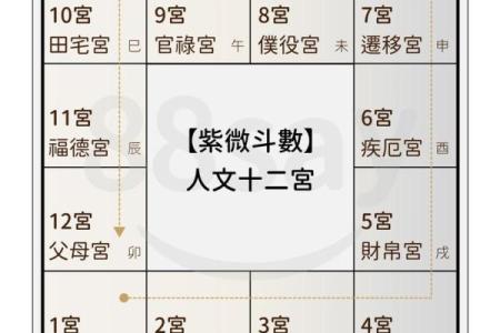 紫微命盘算命吉星
