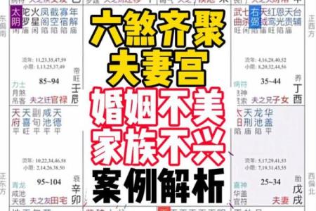 夫妻宫没有紫薇斗数