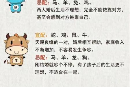 12生肖吉凶配对一览表