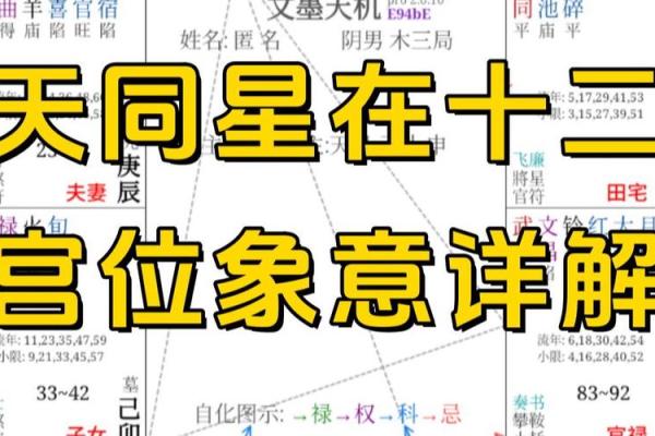 紫薇斗数:天同在戌癸年生女解读 紫薇斗数:天同在戌癸年生女解读