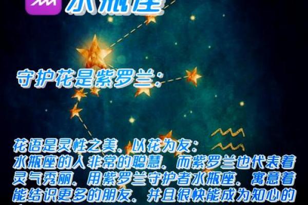 每个星座适合是么花 每个星座适合是么花