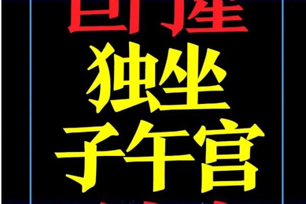 紫薇斗数财昂 紫薇斗数财昂